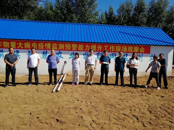 http://m.eggfe.cn/